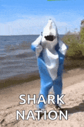 Dance Shark GIF - Dance Shark Summer Vibes GIFs