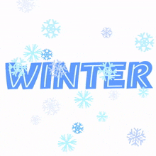 the word winter is surrounded by snowflakes in blue