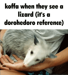 Koffa Dorohedoro GIF - Koffa Dorohedoro Possum GIFs