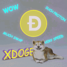 Xdoge Dogecoin GIF - Xdoge Dogecoin Xdoge Coin GIFs
