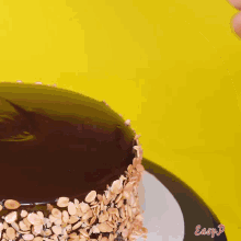 a person is frosting a chocolate cake with nuts and the word easy p on the bottom right