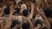 a large group of people are raising their hands in the air in a crowd .
