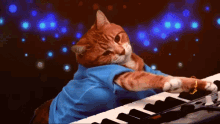 Cats Piano Disco GIF
