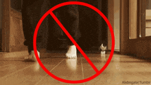 a picture of a person walking with a red circle around their legs