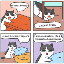 Rus Cat GIF - Rus Cat GIFs