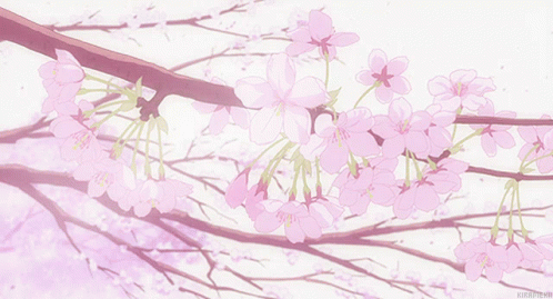 Couple Under The Cherry Blossom Background Illustration H5  Anime scenery  Anime scenery wallpaper Anime cherry blossom