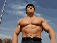 Arnold Schwarzenegger Muscles GIF