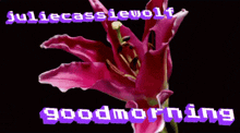 a picture of a pink flower with the words juliecassiewolf good morning
