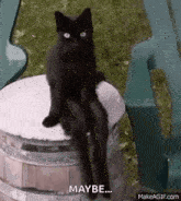 Black Cat Swinging Leg GIF - Black Cat Swinging Leg GIFs