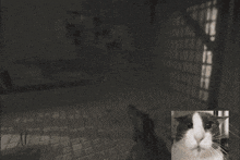 a person is holding a gun in front of a black and white cat