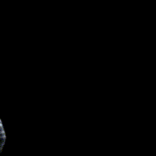 a young boy in a blue shirt and plaid pants is standing in front of a black background .