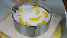 Tortodel Cake GIF