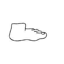 toe foot