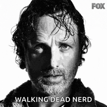 Rick Grimes The Walking Dead GIF - Rick Grimes The Walking Dead Andrew Lincoln GIFs