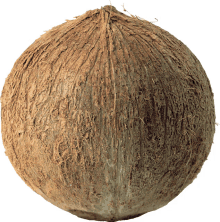 cak coconut