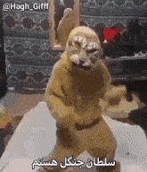 a stuffed animal is dancing in a room with arabic writing .