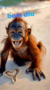 a picture of a monkey with the words bom dia written above it