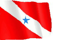 a red and white flag with a blue star in the middle