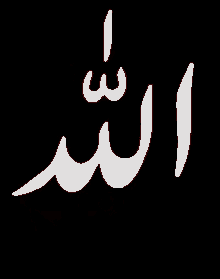 I Quran Asking GIF - I Quran Asking Hussain GIFs