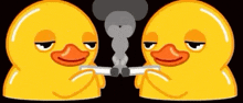 Ducks Smoking Szxlish GIF - Ducks Smoking Szxlish Stan Twitter GIFs