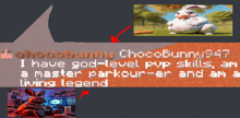 a chocobunny message with a picture of a bunny and the words " i have god-level pvp skills "