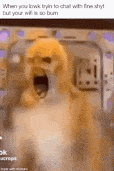 a blurred image of a dog with its mouth open and the caption when you lowk tryin to chat with fine shyt