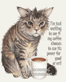 a cat is sitting next to a cup of coffee and says i 'm just waiting to see if