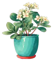 a potted plant with yellow flowers and green leaves on a white background