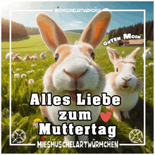 a bunch of rabbits in a field with the words alles liebe zum muttertag