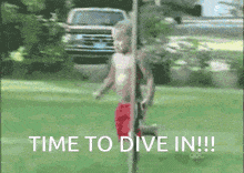 Diving In GIF