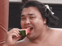 Sumo Sumo Wrestler GIF - Sumo Sumo Wrestler Kiribayama GIFs