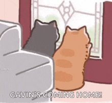 two cats are sitting on a couch looking out of a window and saying gavin 's coming home .