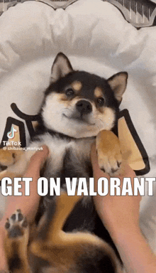 Get On Valorant GIF - Get On Valorant Get On Get GIFs