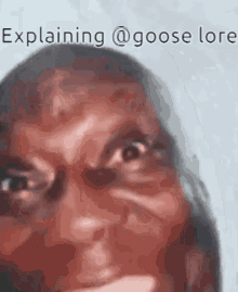 gooselore