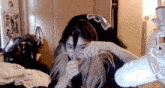a woman is cutting her hair with a pair of scissors .