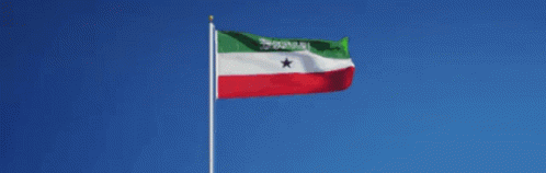 somaliland flag gif clipart