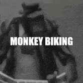 Biking Monkey GIF - Biking Monkey GIFs