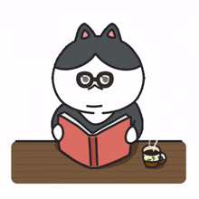 books kitty pets feline novel