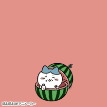 a cartoon cat is sitting in a watermelon with a bottle of milk