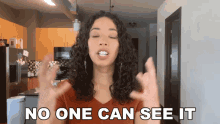 No One Can See It Kassandra Lee GIF - No One Can See It Kassandra Lee Nobody Can See GIFs