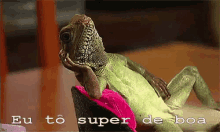 iguana relax chillin pose