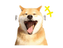 Dog Doggo GIF - Dog Doggo Laugh GIFs