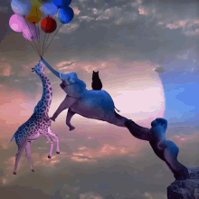 Balloon Animals GIF - Balloon Animals Giraffe GIFs