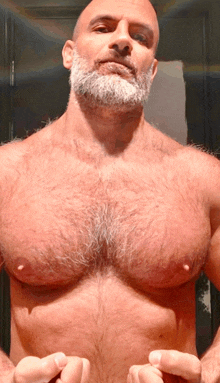 a man without a shirt has a beard and a large chest
