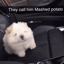 Ricky Mashed Potato GIF - Ricky Mashed Potato Yorbus GIFs