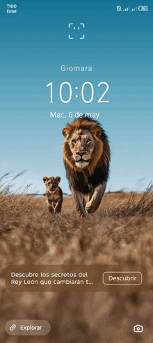 a phone screen shows a picture of a lion and a cub and the time is 10:02