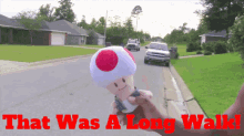 Sml Toad GIF - Sml Toad That Was A Long Walk GIFs