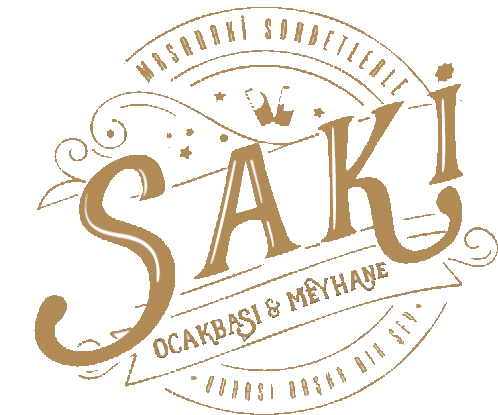 Saki Sakiocakbasi Sticker - Saki Sakiocakbasi Stickers