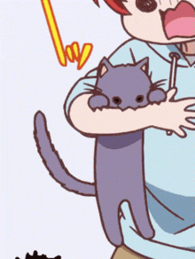 a cartoon of a person holding a cat
