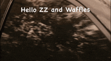 a black and white photo with the words hello zz and waffles on the bottom